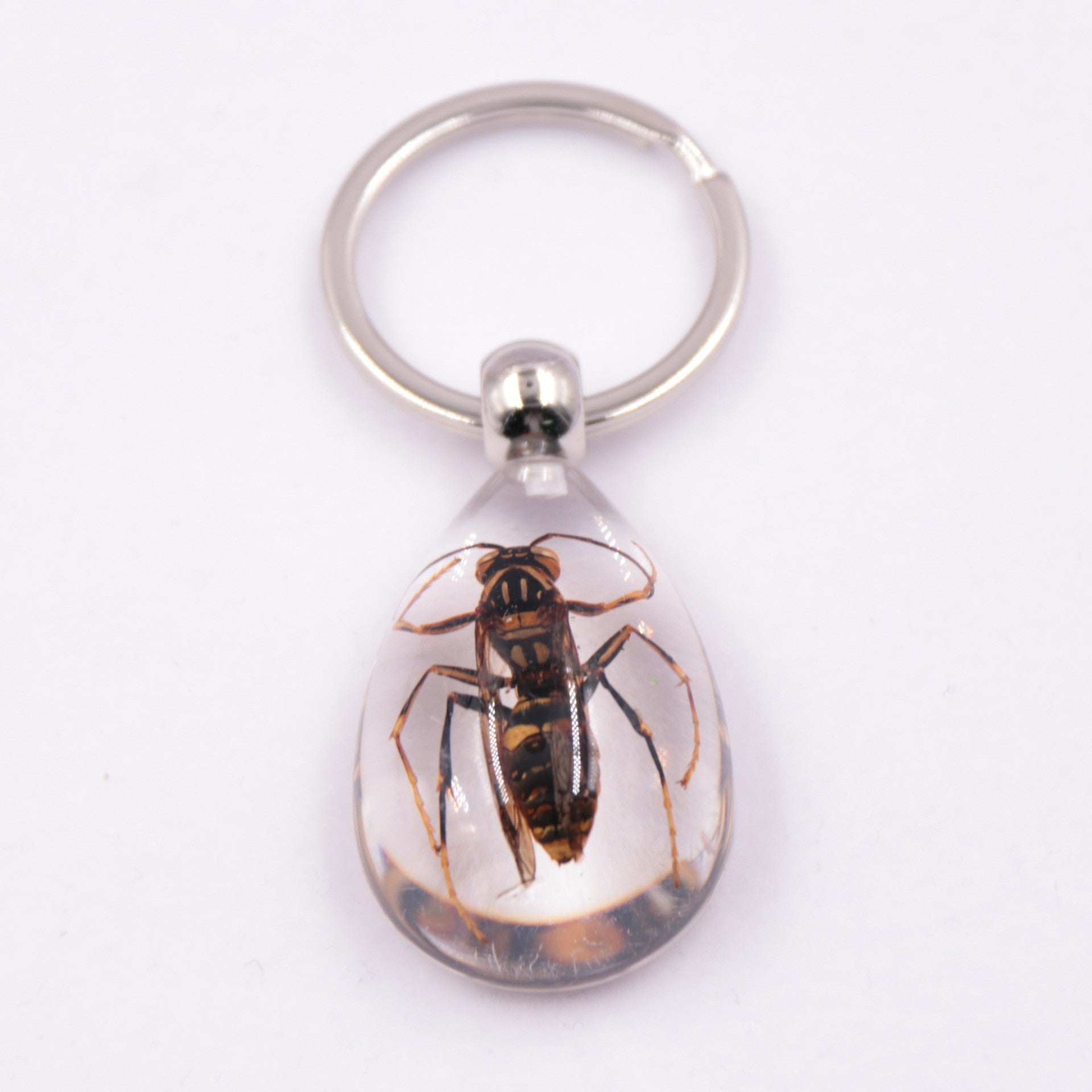 Wholesale 6pcs Resin Insect Specimen Transparent Glue Keychain