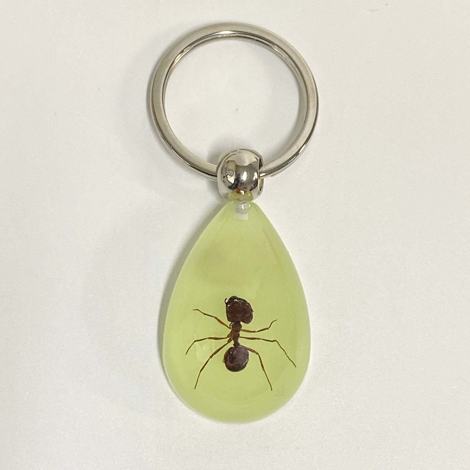 Wholesale 6pcs Luminous Insects Epoxy Resin Keychain