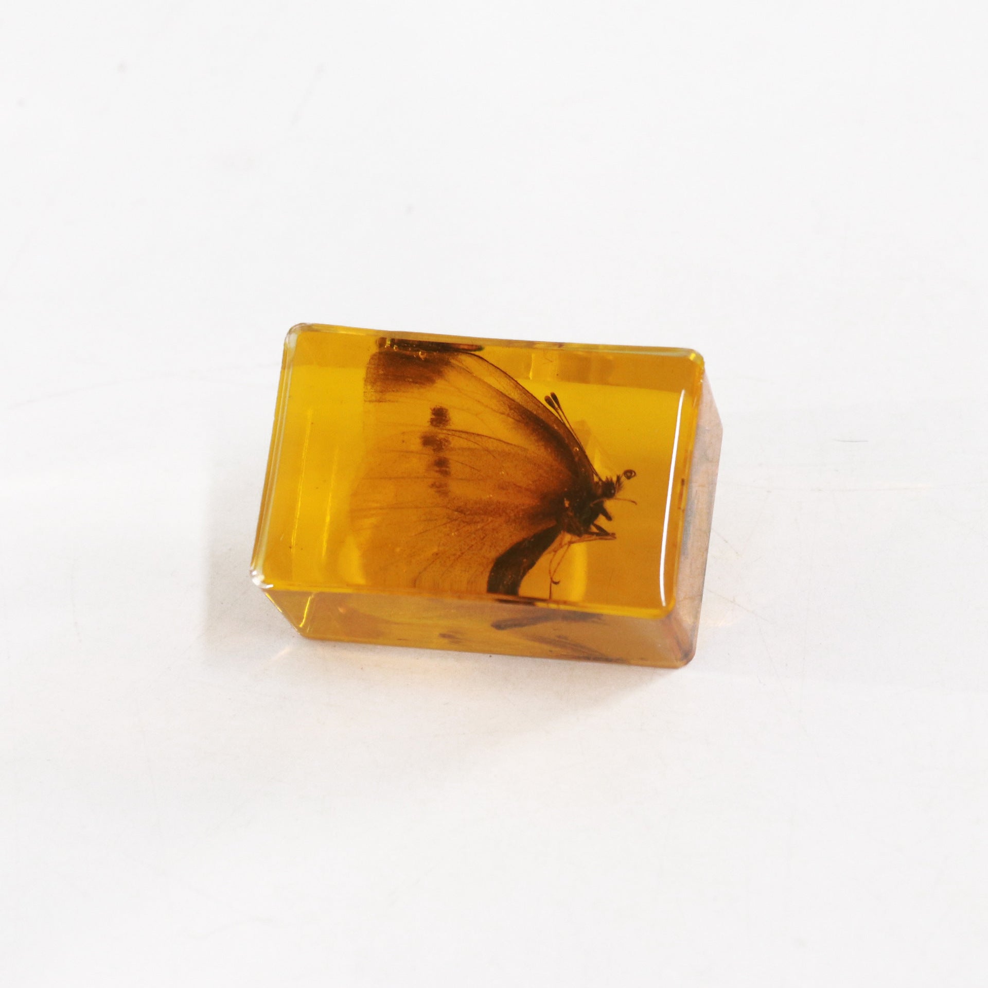 Wholesale 12pcs Real Insect Scorpion Resin HD Transparent Craft Ornaments