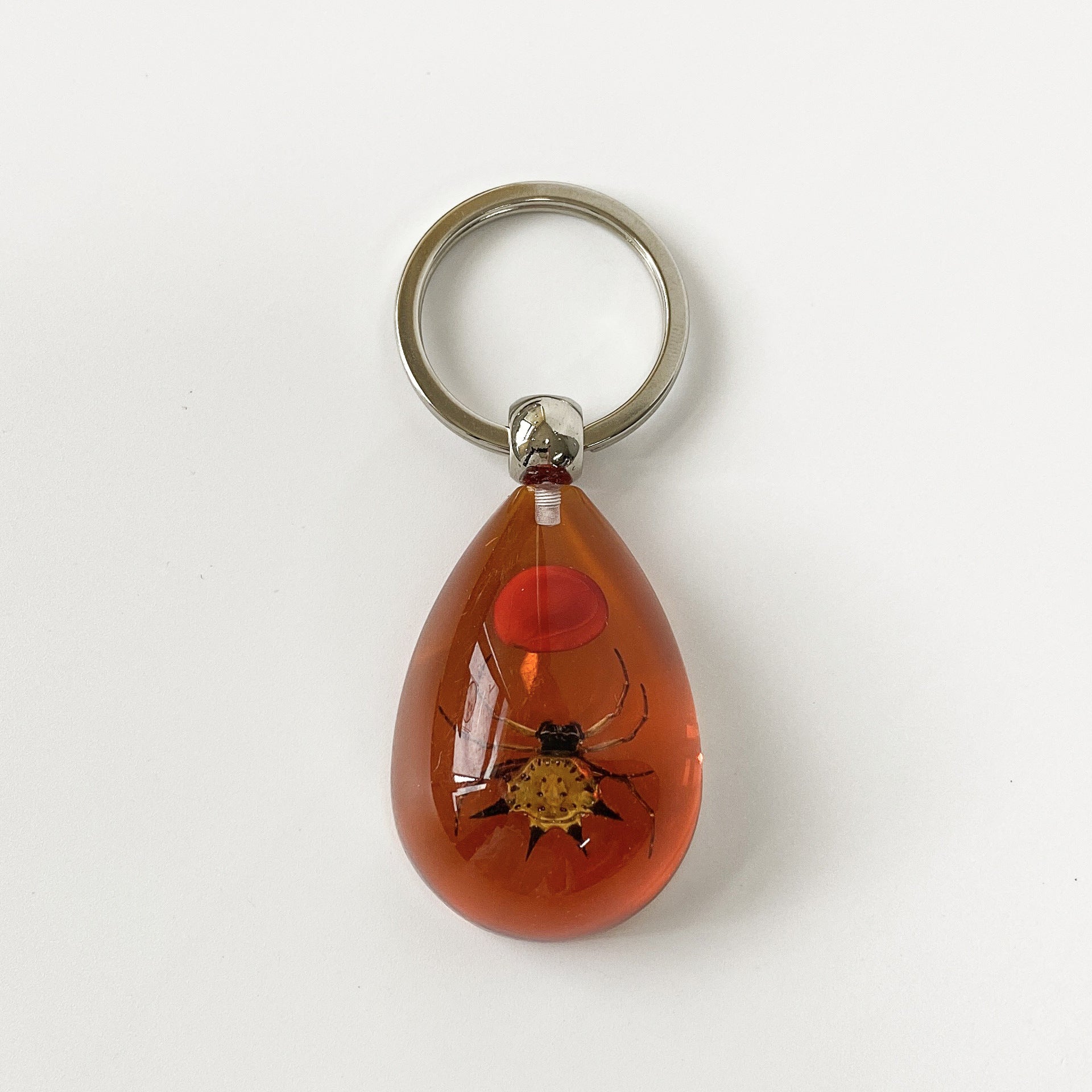 Wholesale 6pcs/pack Insect Specimen Amber Keychain