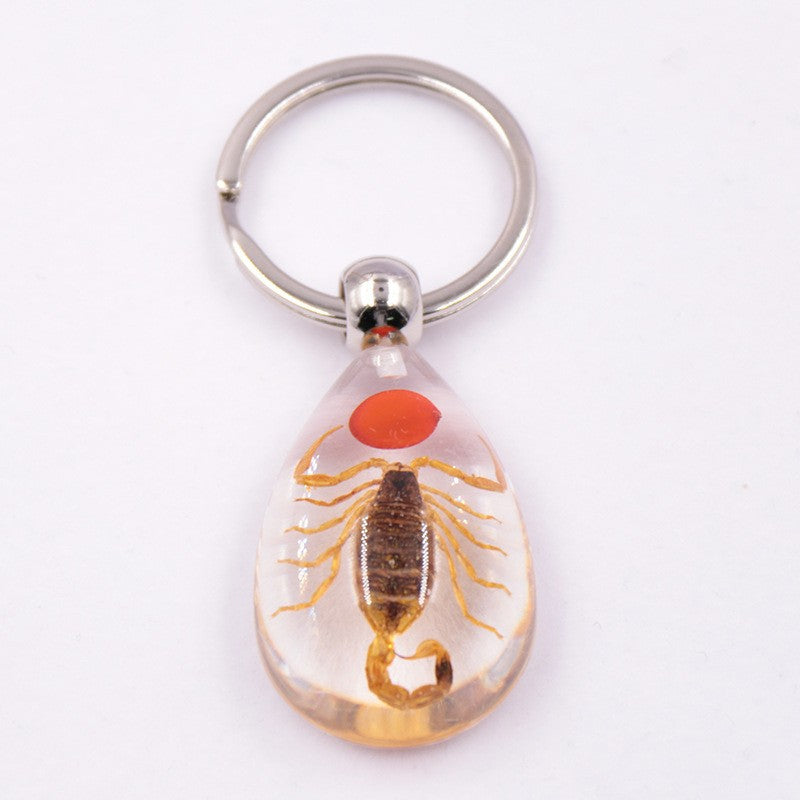 Wholesale 6pcs Resin Insect Specimen Transparent Glue Keychain