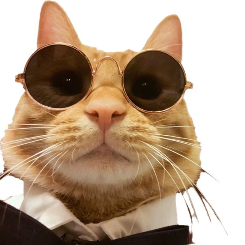 Wholesale Pet sunglasses for cats and dogs