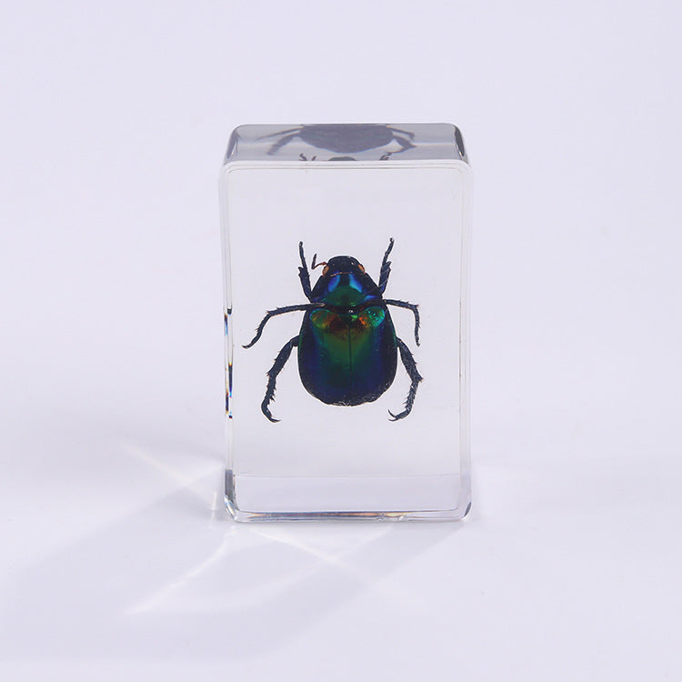 Wholesale 6pcs Handmade Glue Resin Insect Transparent Specimen Ornaments