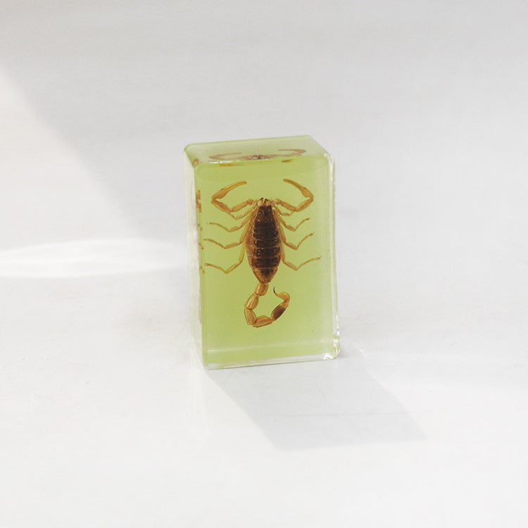 Wholesale 12pcs Luminous Real Insect Scorpion Desktop Resin Ornaments