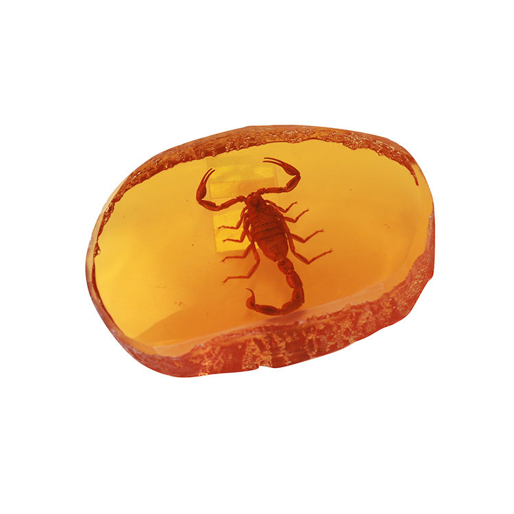Wholesale 6pcs Resin Amber Wings Dragonfly Rhubarb Scorpion Real Insect Specimen Ornaments