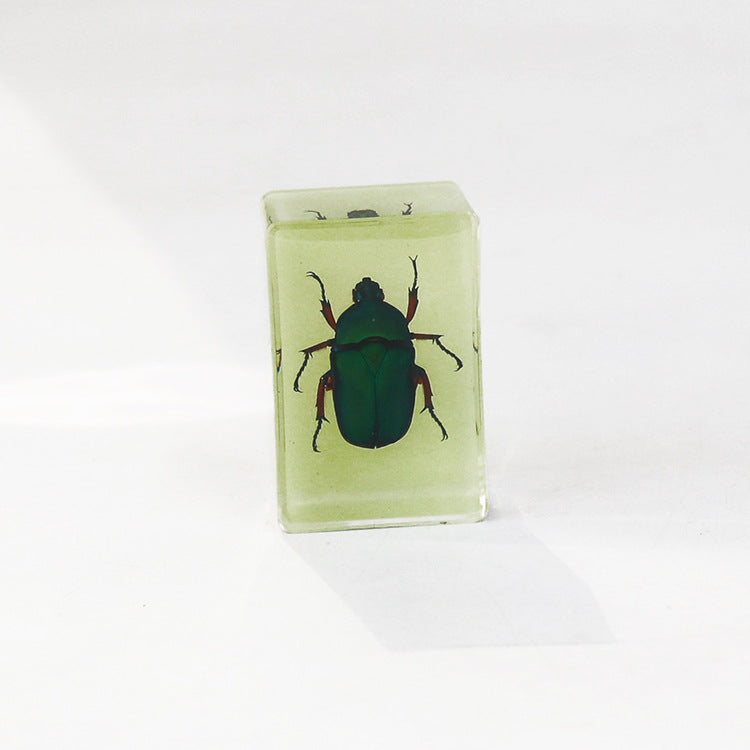 Wholesale 12pcs Luminous Real Insect Scorpion Desktop Resin Ornaments
