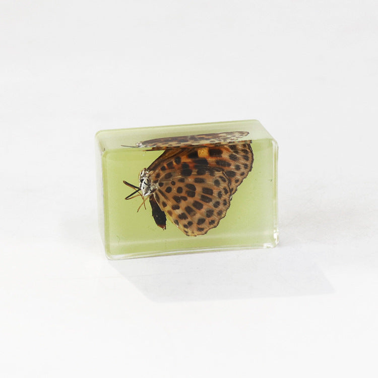 Wholesale 12pcs Luminous Real Insect Scorpion Desktop Resin Ornaments