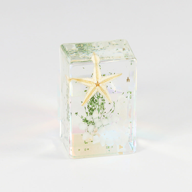 Wholesale 6pcs Starfish Specimen Resin Transparent Handmade Glue Ornaments