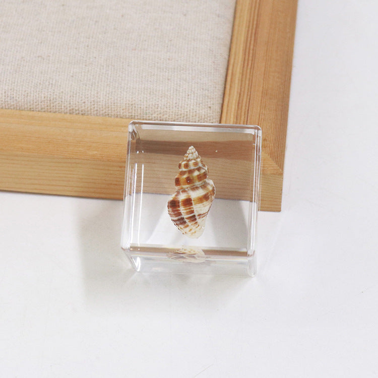 Wholesale 6pcs Ocean Cube Resin Crafts Ornaments