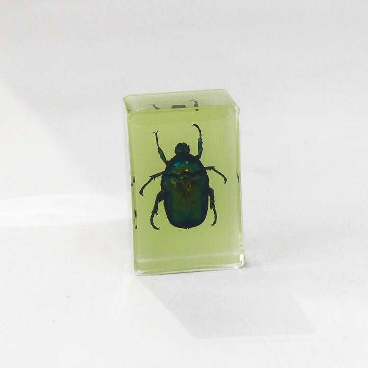 Wholesale 12pcs Luminous Real Insect Scorpion Desktop Resin Ornaments