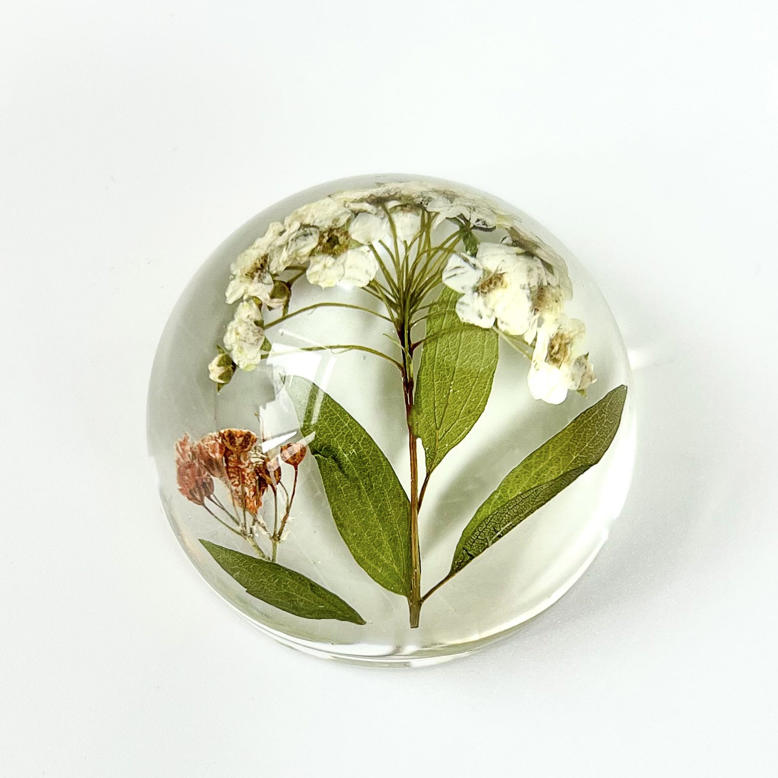 Wholesale 6pcs Creative 47mm Hemisphere Resin Crafts Embossed Ornaments