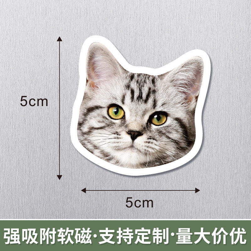 Wholesale 50pcs Magnetic refrigerator magnets cute pet magnetic stickers special-shaped decoration