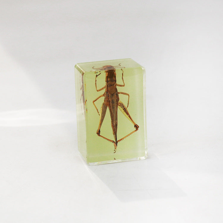 Wholesale 12pcs Luminous Real Insect Scorpion Desktop Resin Ornaments
