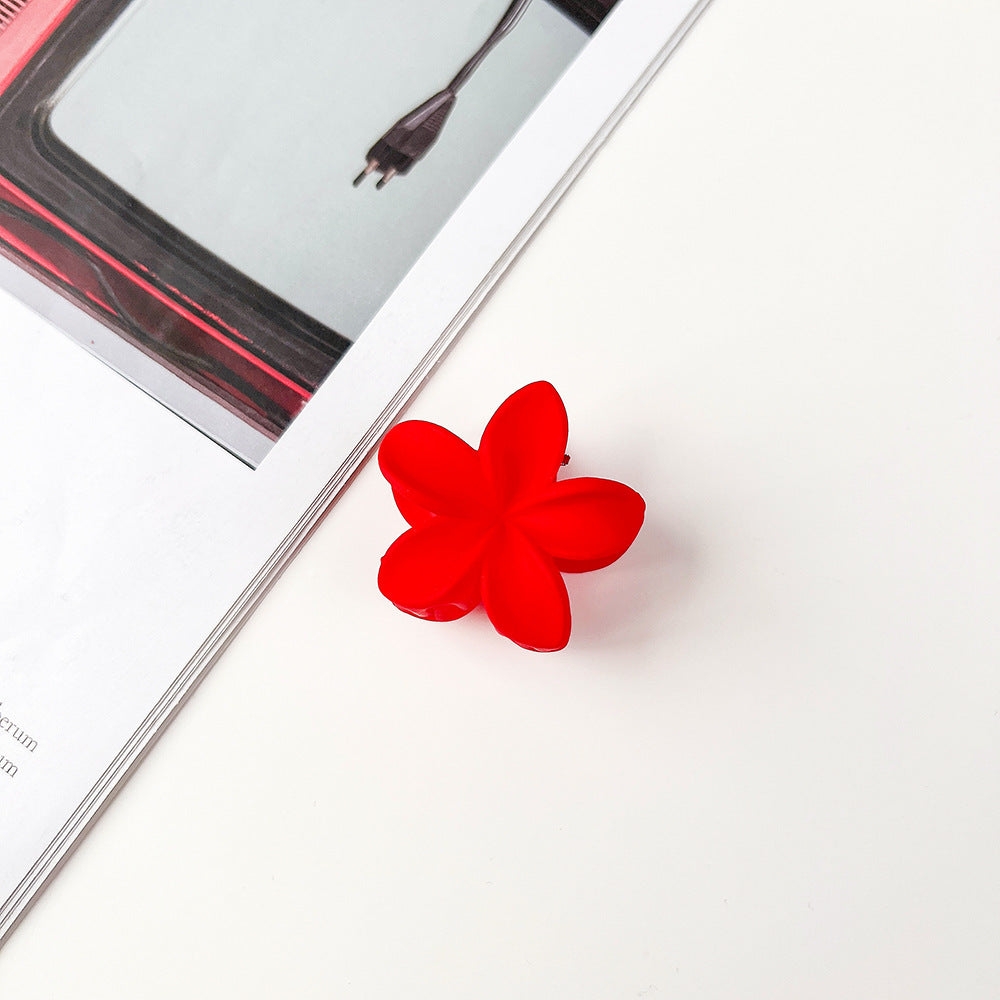 Wholesale Resin Frangipani Small Clip