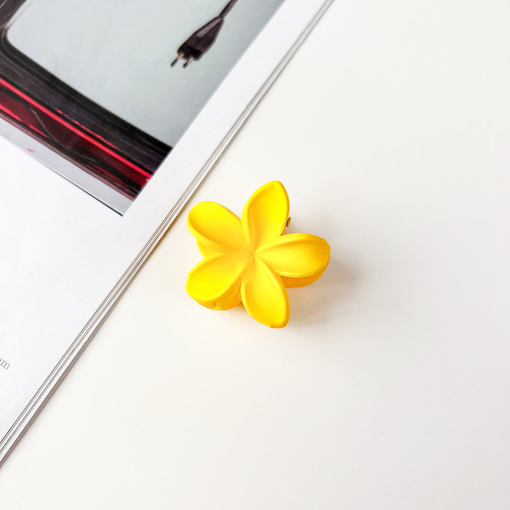 Wholesale Resin Frangipani Small Clip