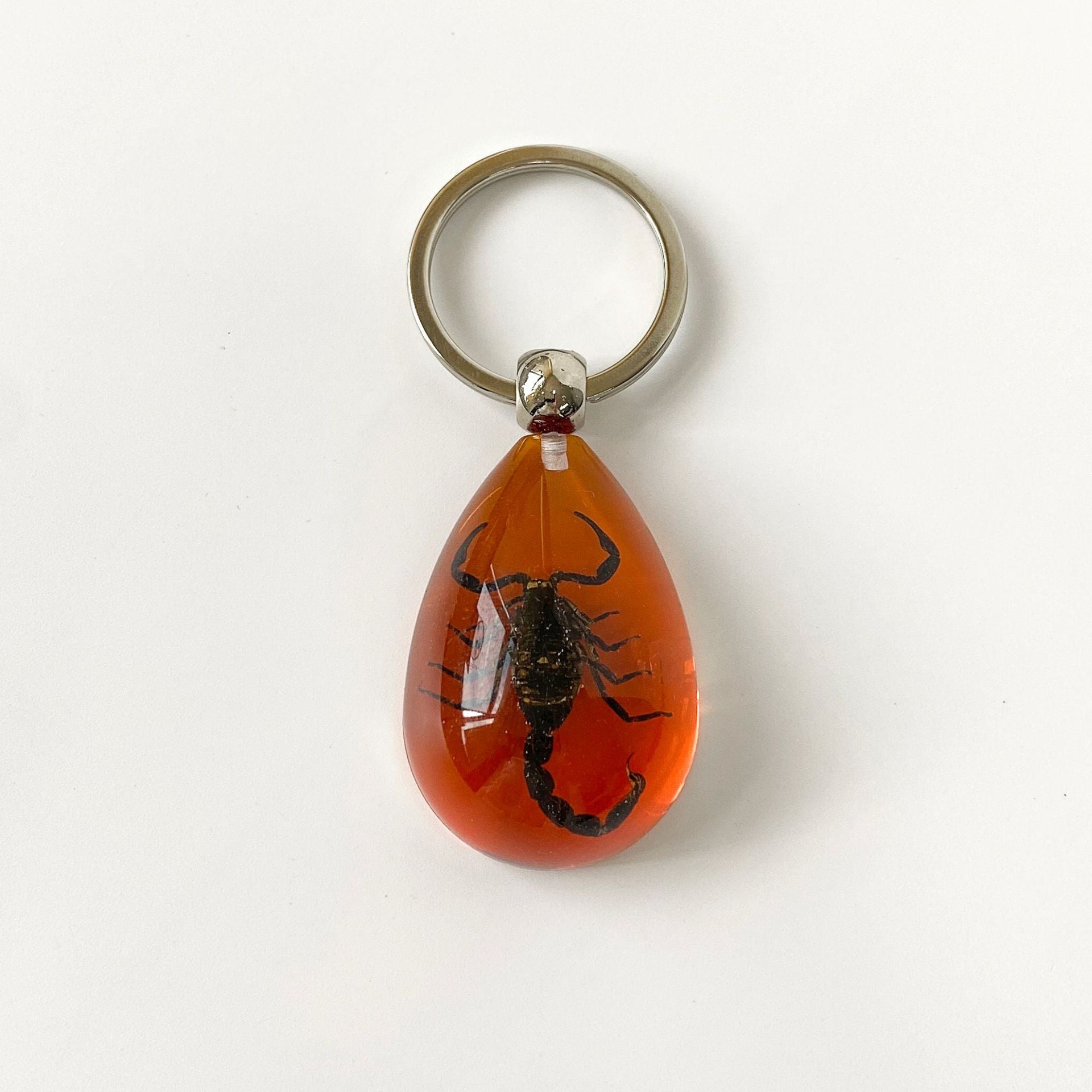 Wholesale 6pcs/pack Insect Specimen Amber Keychain