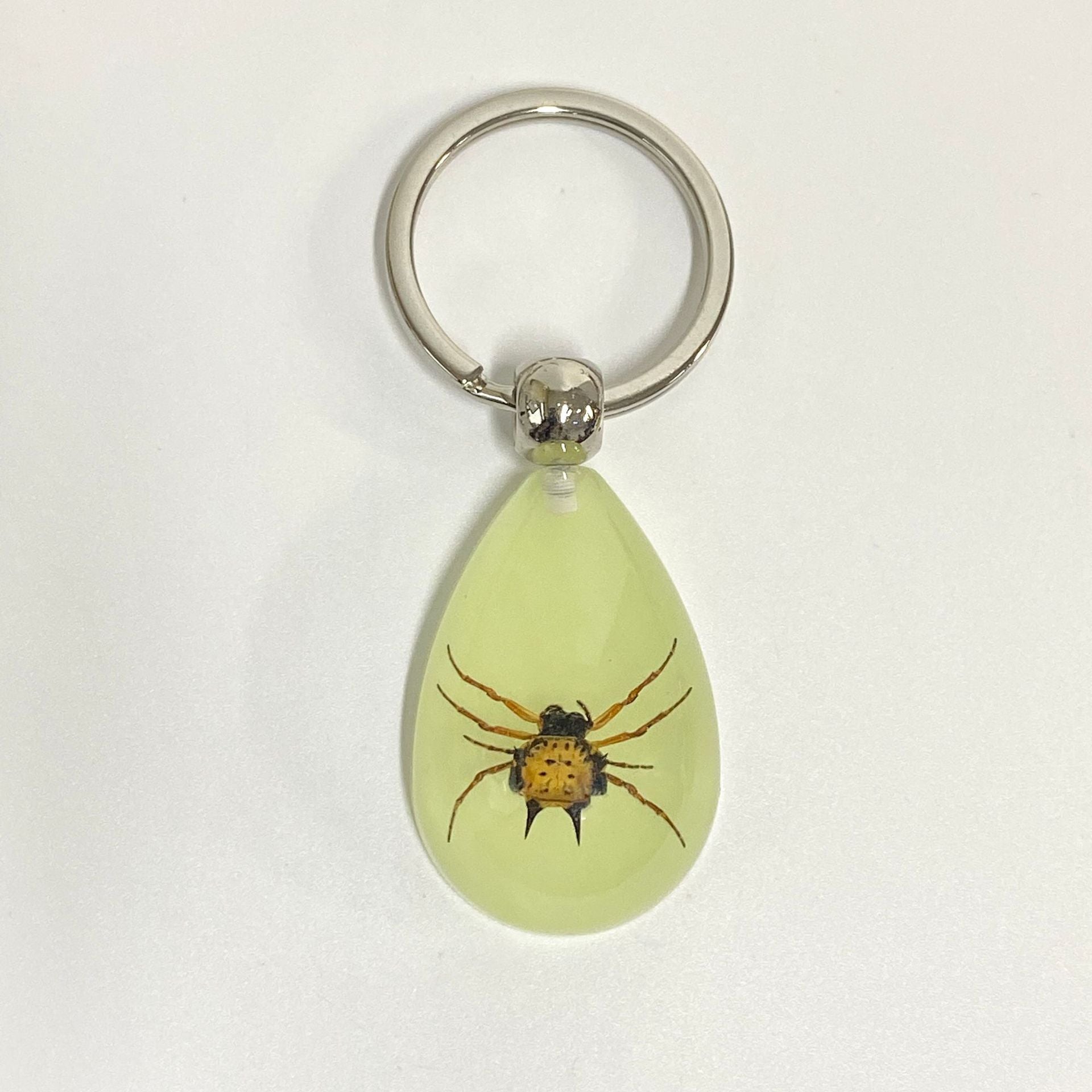 Wholesale 6pcs Luminous Insects Epoxy Resin Keychain
