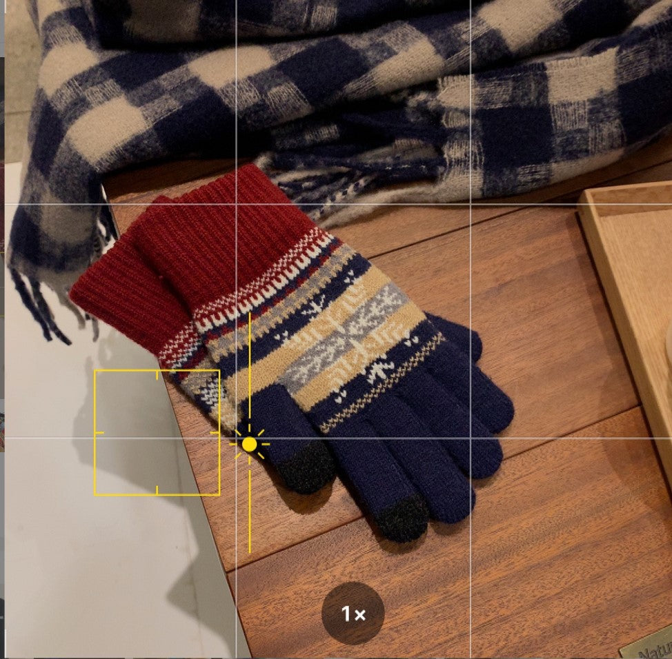 Wholesale Plus Velvet and Thickened Winter Five-finger Double-layer Cold-proof Snowflake Wool Gloves