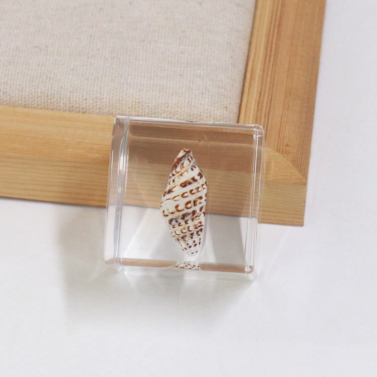 Wholesale 6pcs Ocean Cube Resin Crafts Ornaments