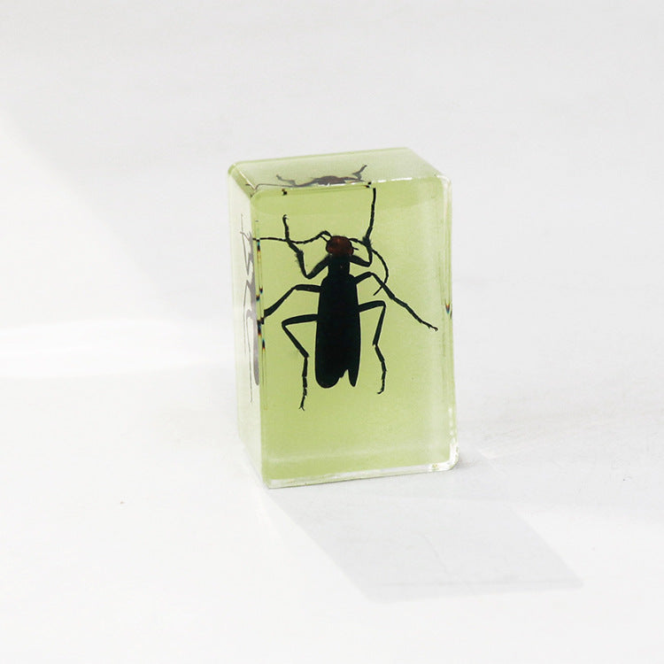 Wholesale 12pcs Luminous Real Insect Scorpion Desktop Resin Ornaments