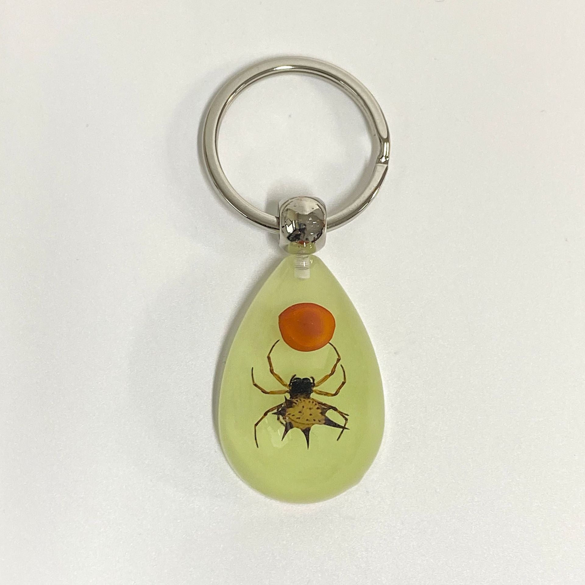 Wholesale 6pcs Real Insect Specimens Large Amber Luminous Keychain