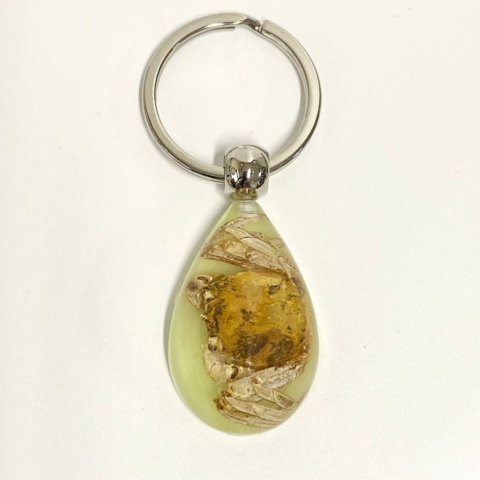 Wholesale 6pcs Real Insect Specimens Large Amber Luminous Keychain
