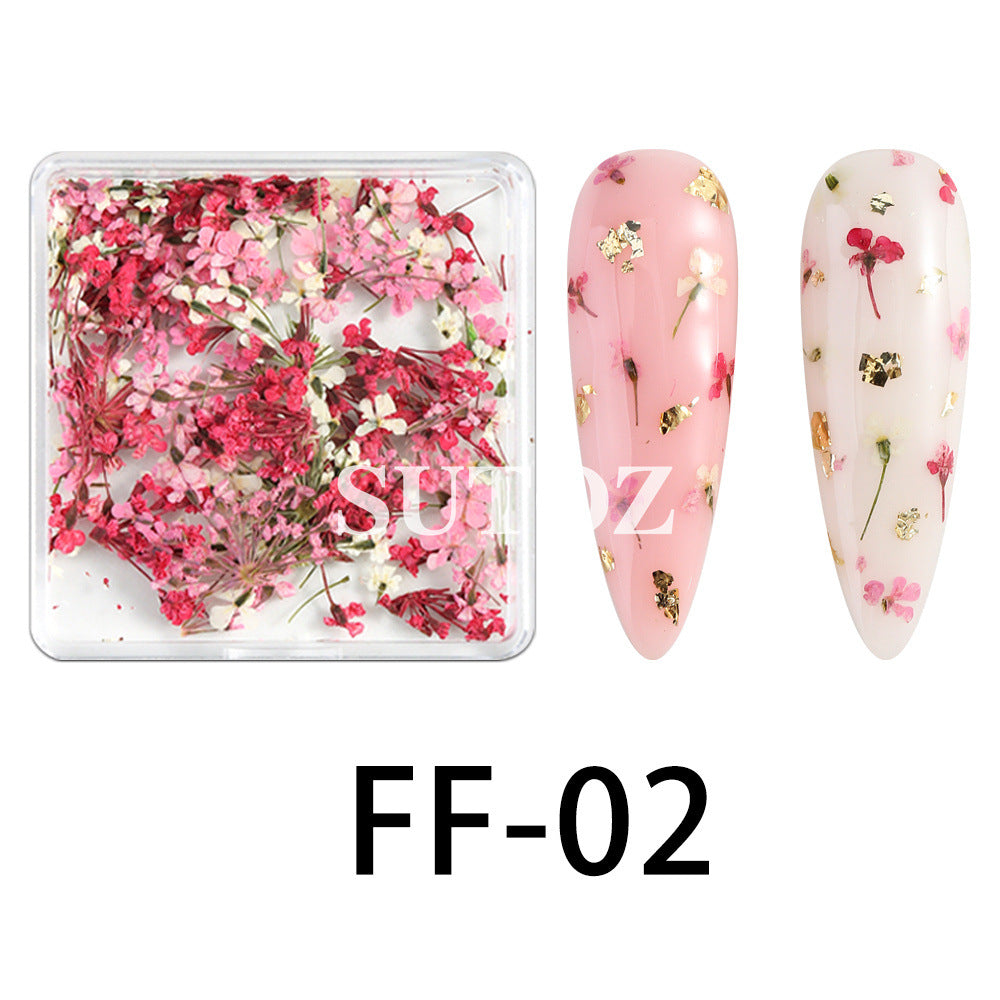 Wholesale 3pcs Nail Art Dried Flower Ornaments