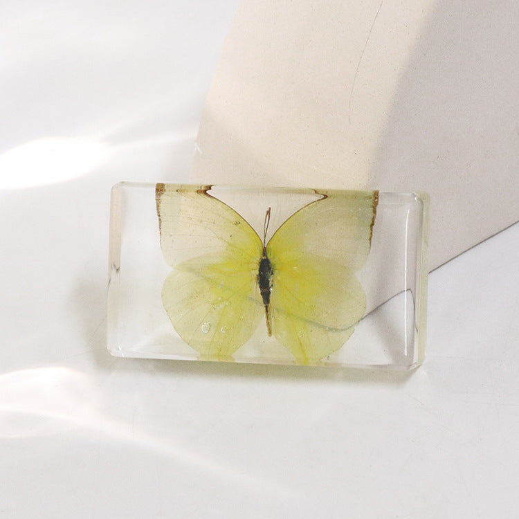 Wholesale 6pcs Real Butterfly with Wings Spread 3D Crafts Ornaments