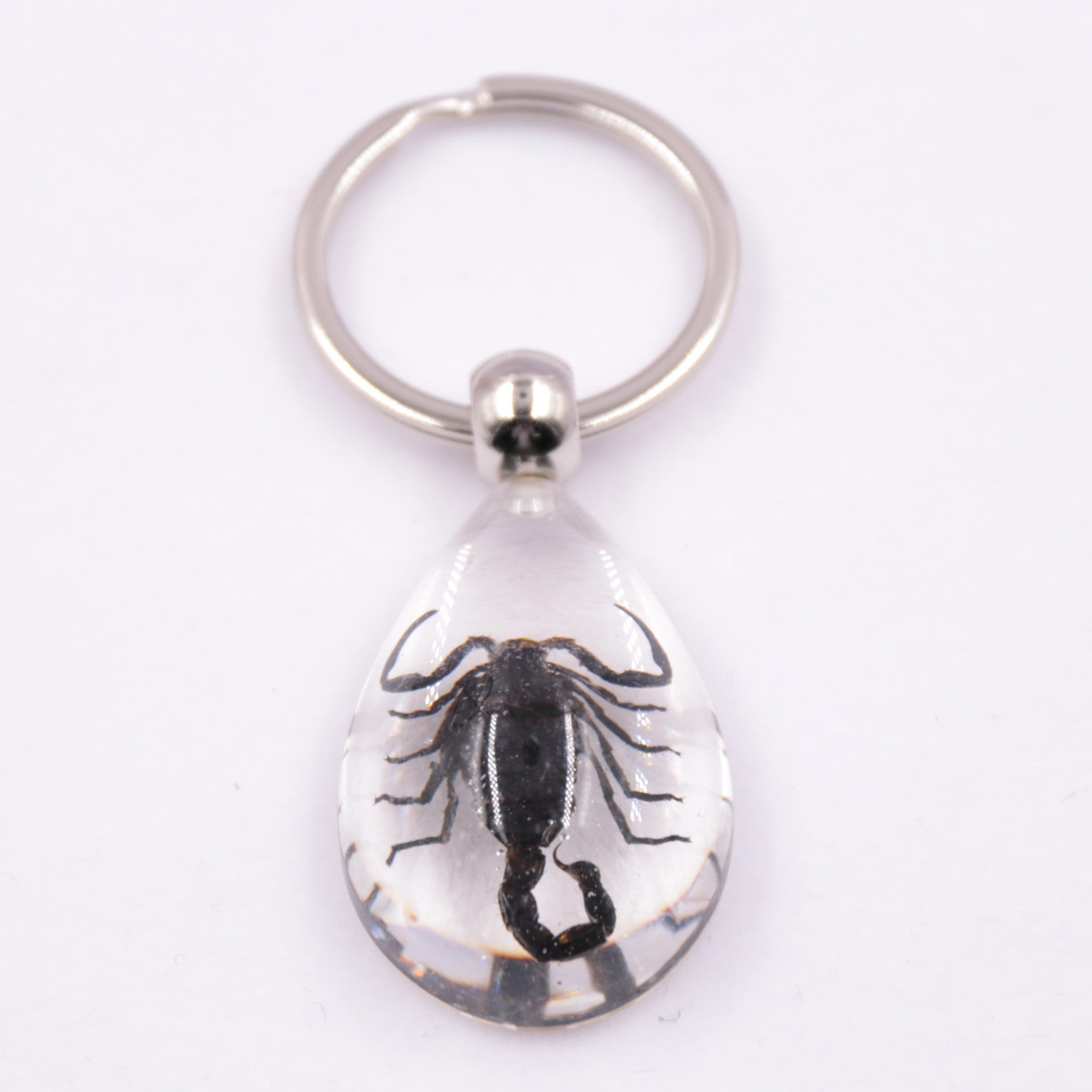 Wholesale 6pcs Resin Insect Specimen Transparent Glue Keychain