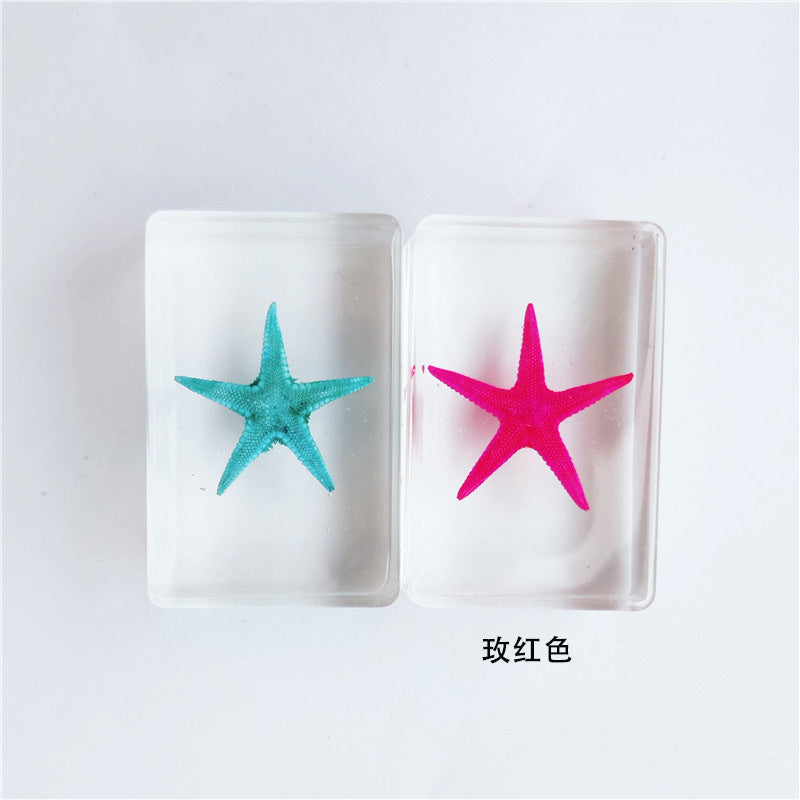Wholesale 12pcs Epoxy Starfish Specimen Hot Sale Resin Crafts Ornaments