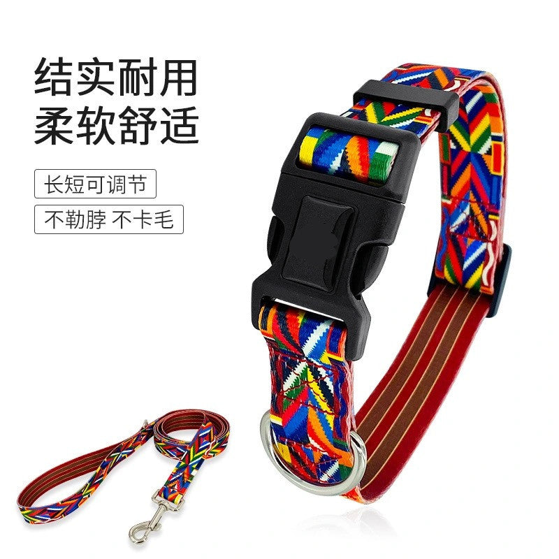 Wholesale Rainbow Belt Walking Training Collar Leash Supplies