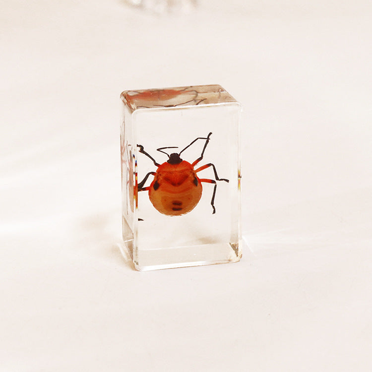 Wholesale Handmade Dripping Resin Insect Transparent Animal Specimen Ornaments