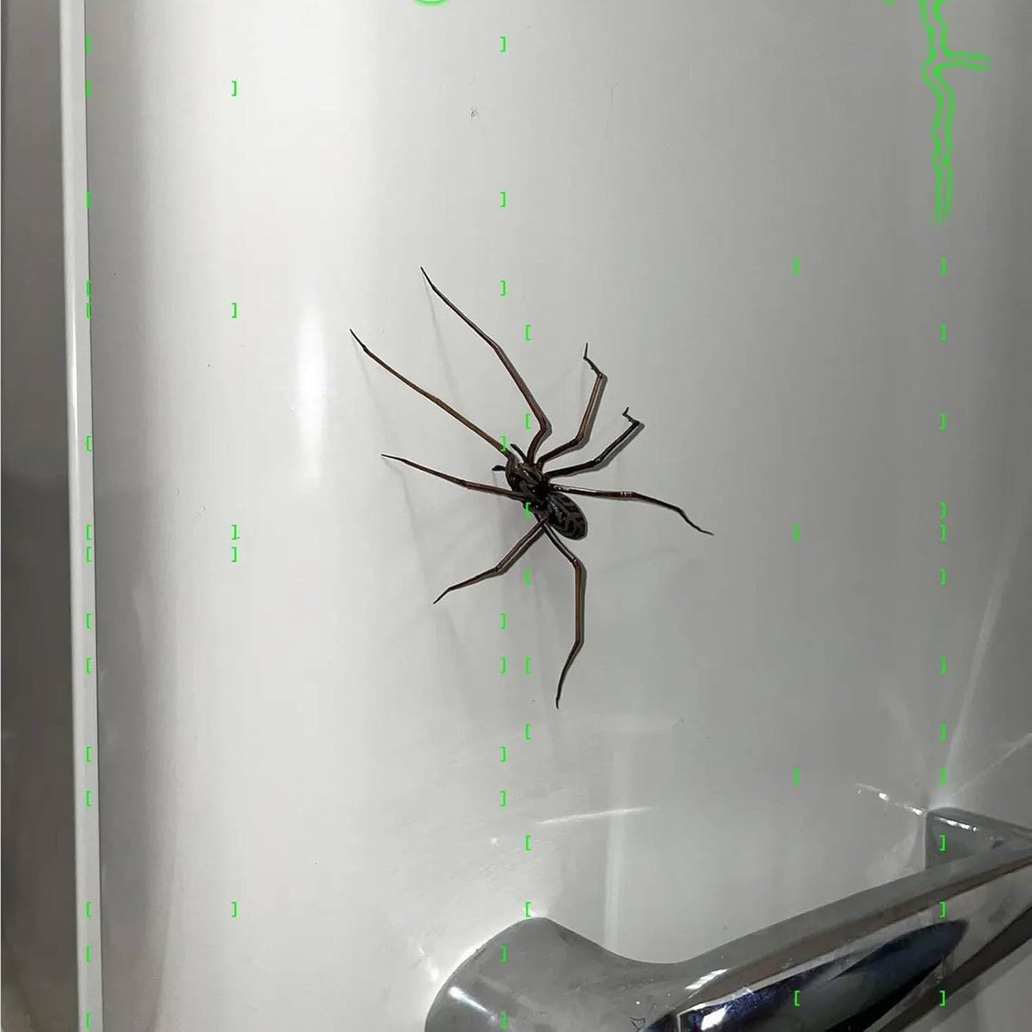 Wholesale New Spider Fridge Magnets Home Spider Magnet Refrigerator