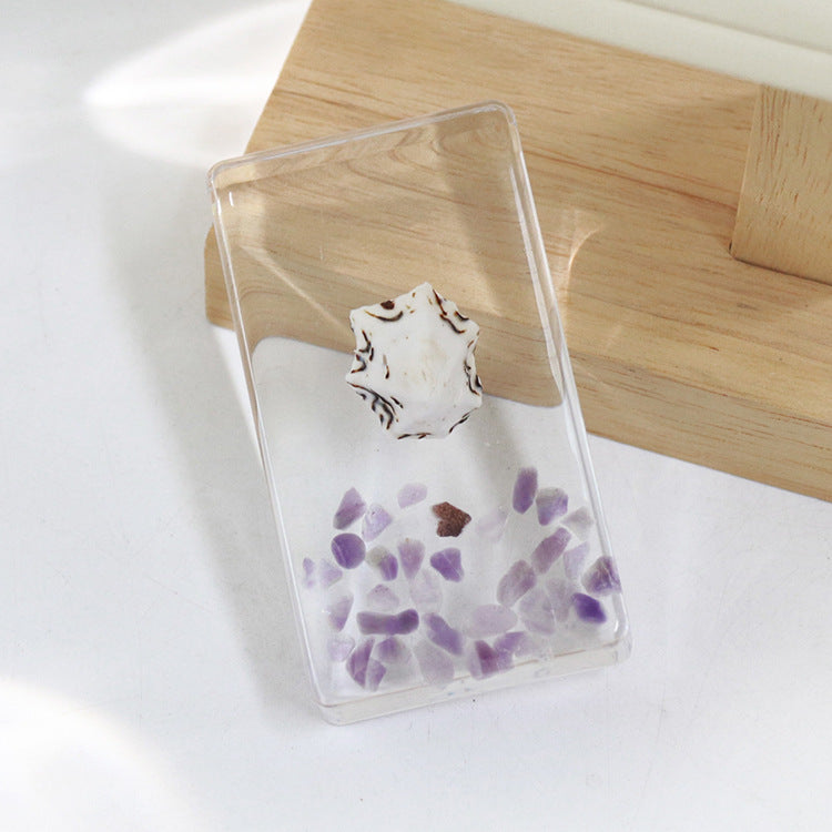 Wholesale 6pcs Real Conch Specimen Crafts Resin Ornaments