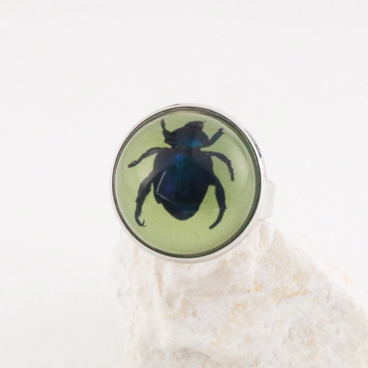 Wholesale 12pcs Luminous Fashion Real Insect Scorpion Resin Rings