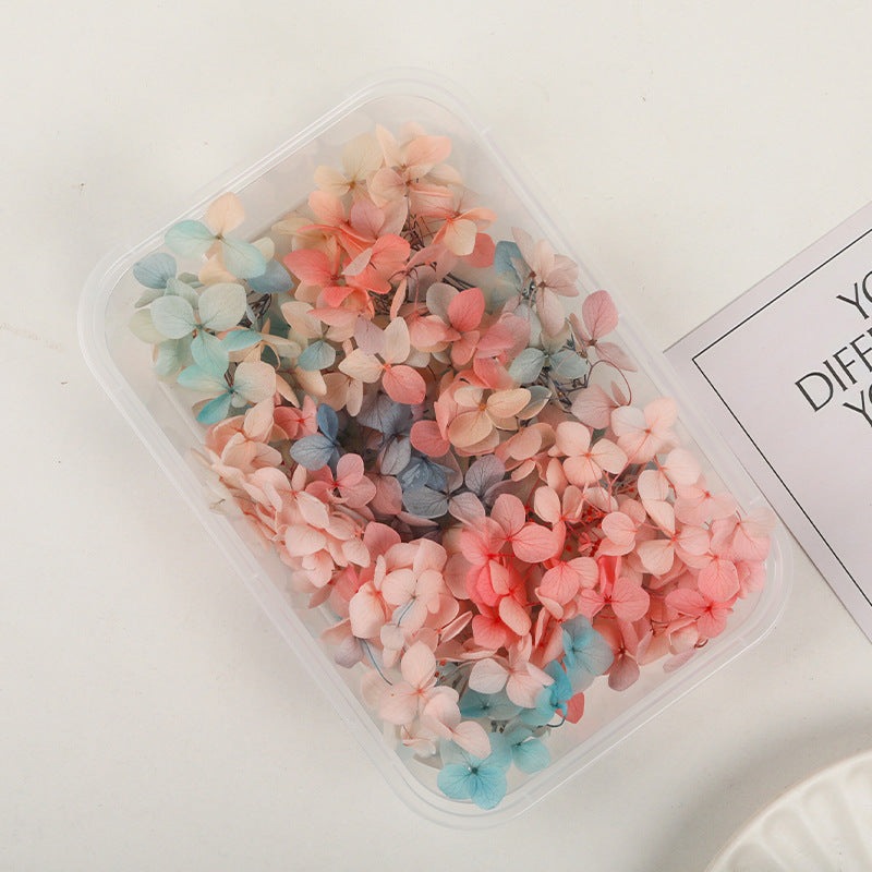 Wholesale Dried Flowers Immortal Flowers Hydrangea Gradient Color Handmade Diy Filling Materials