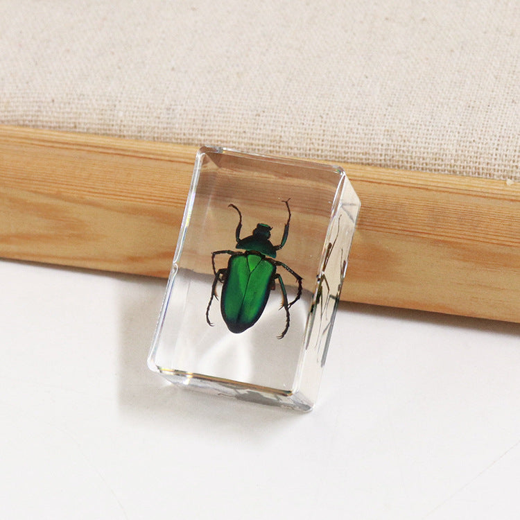 Wholesale 6pcs Handmade Glue Resin Insect Transparent Specimen Ornaments