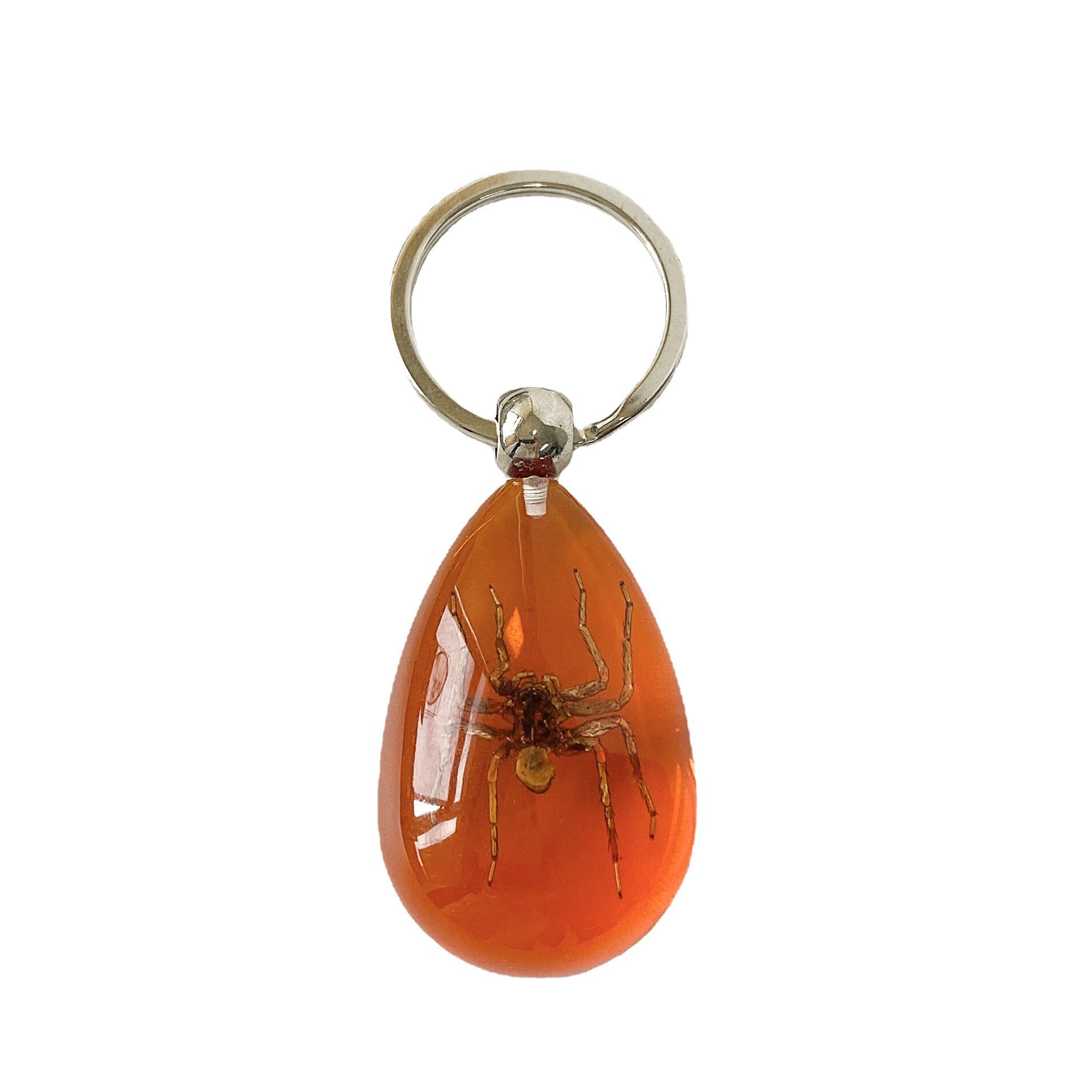 Wholesale 6pcs/pack Insect Specimen Amber Keychain