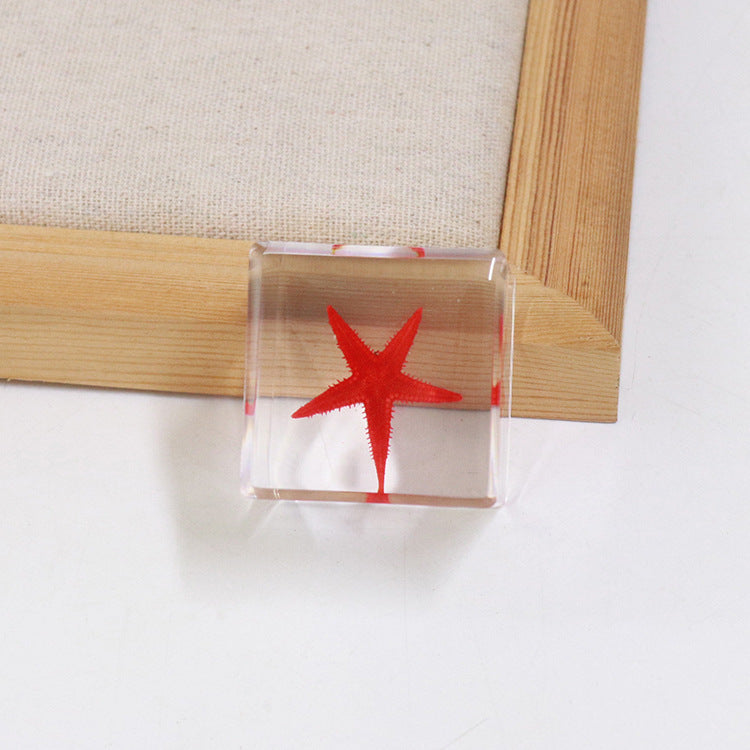 Wholesale 6pcs Ocean Cube Resin Crafts Ornaments