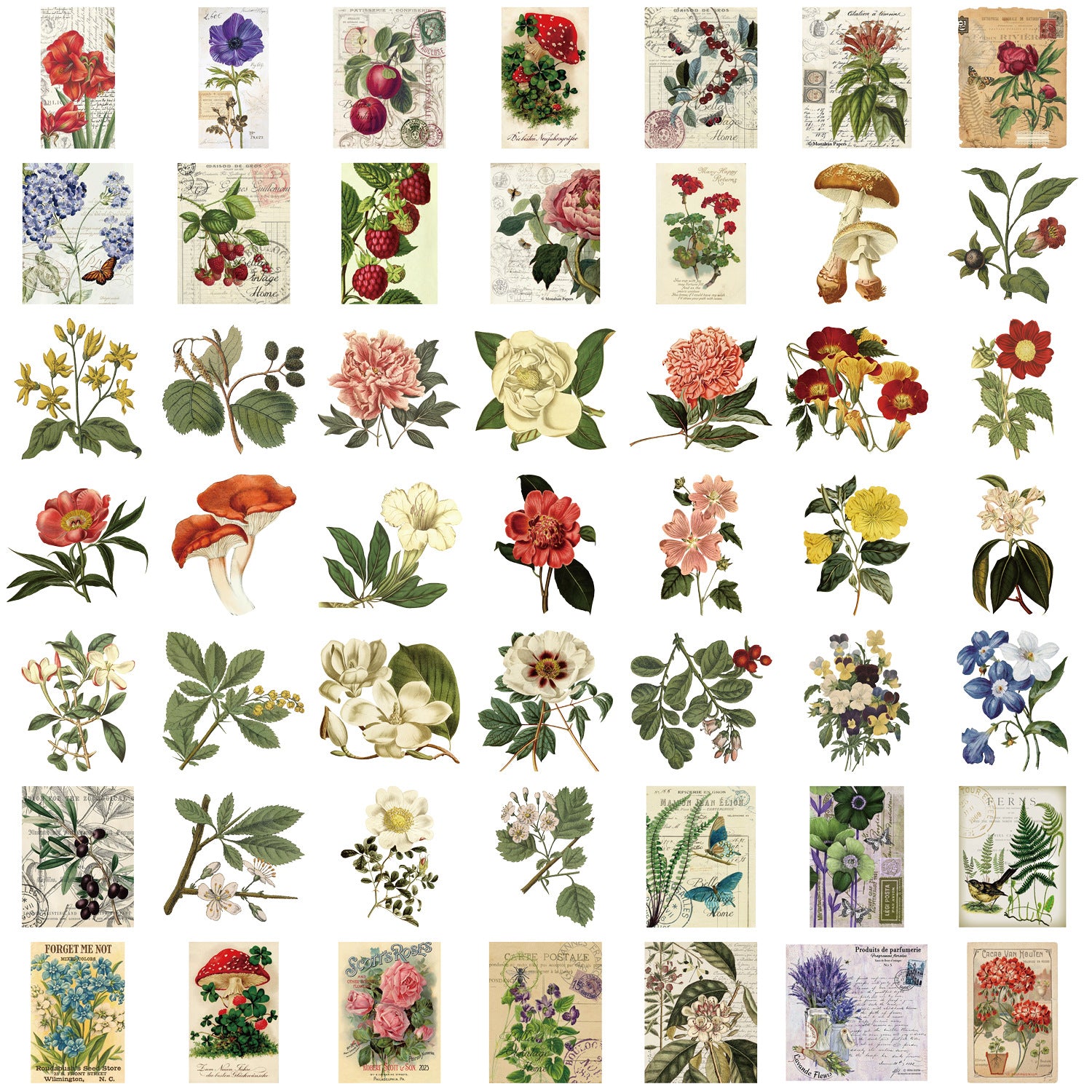 Wholesale 50pcs Retro Plant Flower Series Graffiti Waterproof Stickers