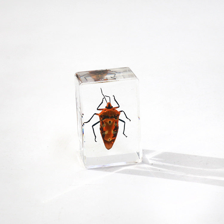 Wholesale 6pcs Handmade Glue Resin Insect Transparent Specimen Ornaments