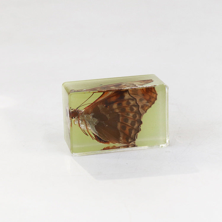 Wholesale 12pcs Luminous Real Insect Scorpion Desktop Resin Ornaments