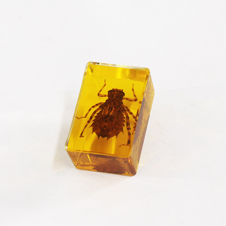 Wholesale 12pcs Real Insect Scorpion Resin HD Transparent Craft Ornaments