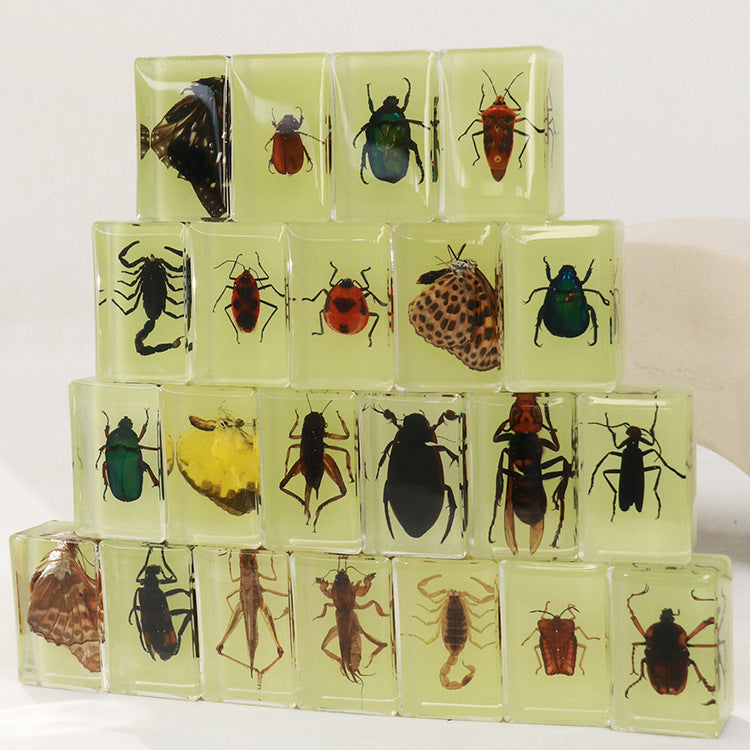 Wholesale 12pcs Luminous Real Insect Scorpion Desktop Resin Ornaments