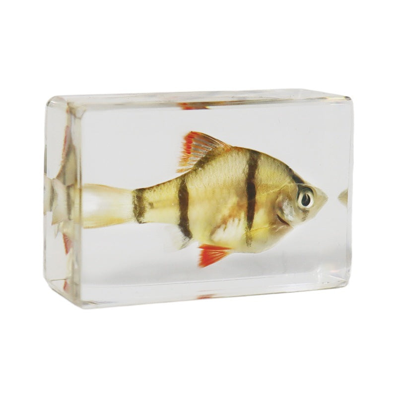 Wholesale Real Marine Fish Resin Specimen Ornaments