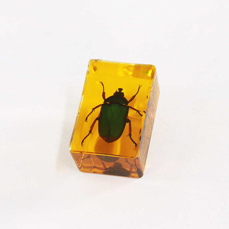 Wholesale 12pcs Real Insect Scorpion Resin HD Transparent Craft Ornaments