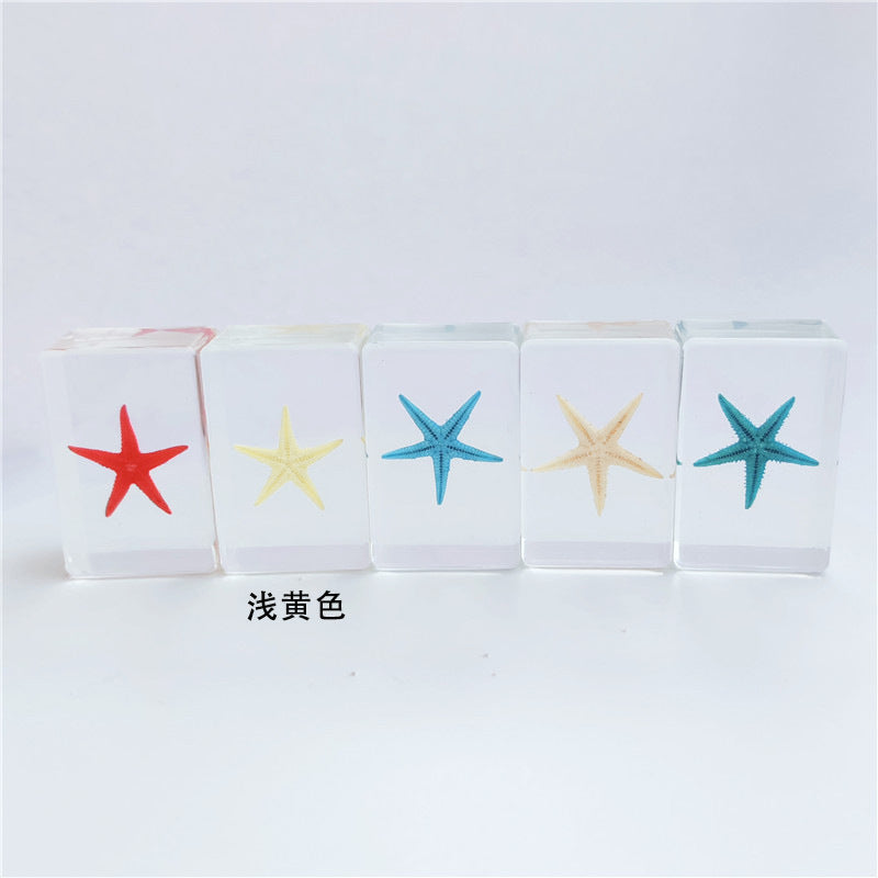 Wholesale 12pcs Epoxy Starfish Specimen Hot Sale Resin Crafts Ornaments