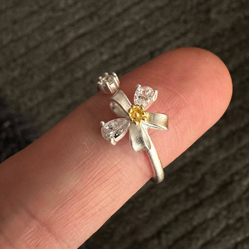 Wholesale Fresh and simple silver ring niche design light luxury finger ring