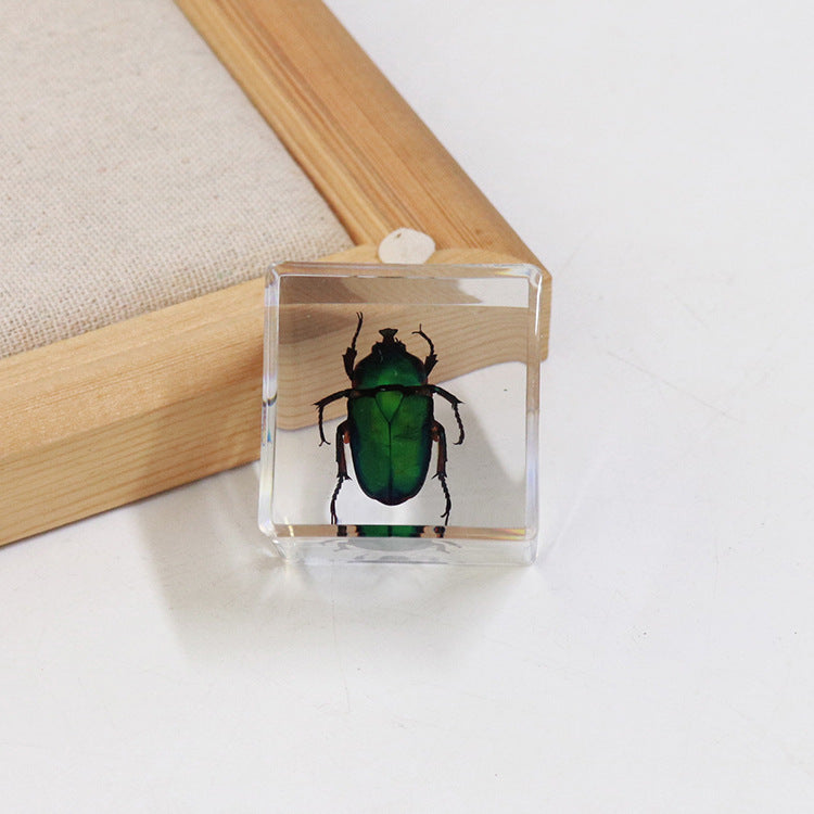 Wholesale 6pcs 4cm Cube Insect Resin HD Transparent Resin Ornaments
