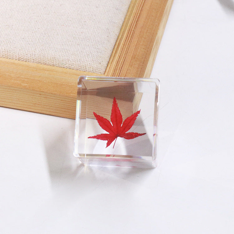 Wholesale 6pcs Cube Real Dried Flower Desktop Crafts Ornaments